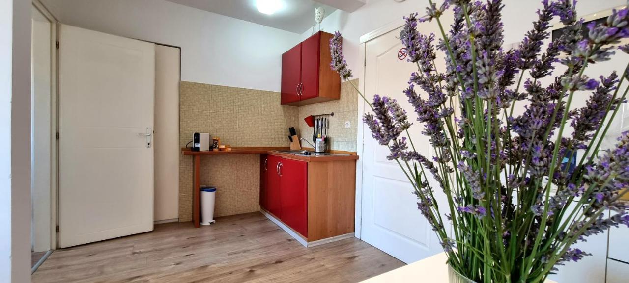 Appartamento Tiny Studio Big Living Rovigno Esterno foto