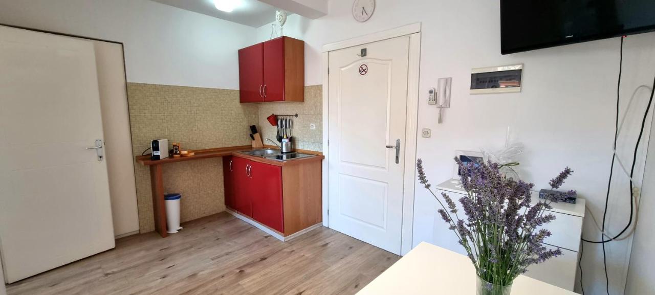 Appartamento Tiny Studio Big Living Rovigno Esterno foto