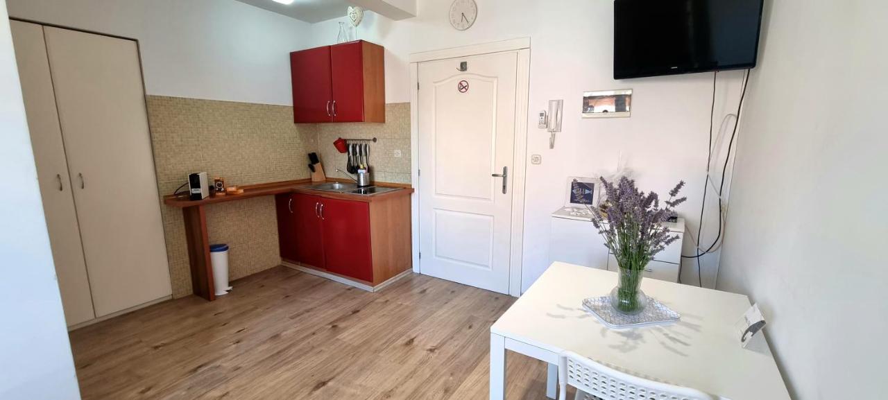 Appartamento Tiny Studio Big Living Rovigno Esterno foto