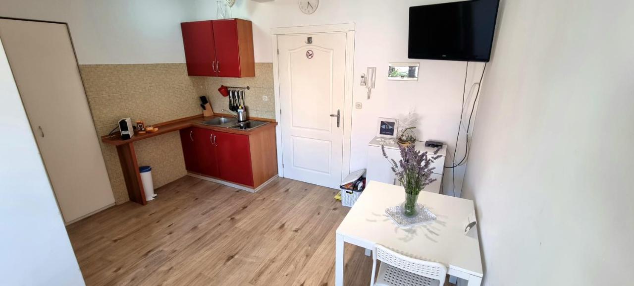 Appartamento Tiny Studio Big Living Rovigno Esterno foto